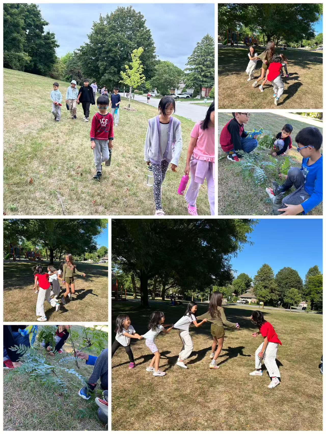 2025优实教育夏令营 (第八周)小小探险家 Image_2025-08-25_191934_918.jpg